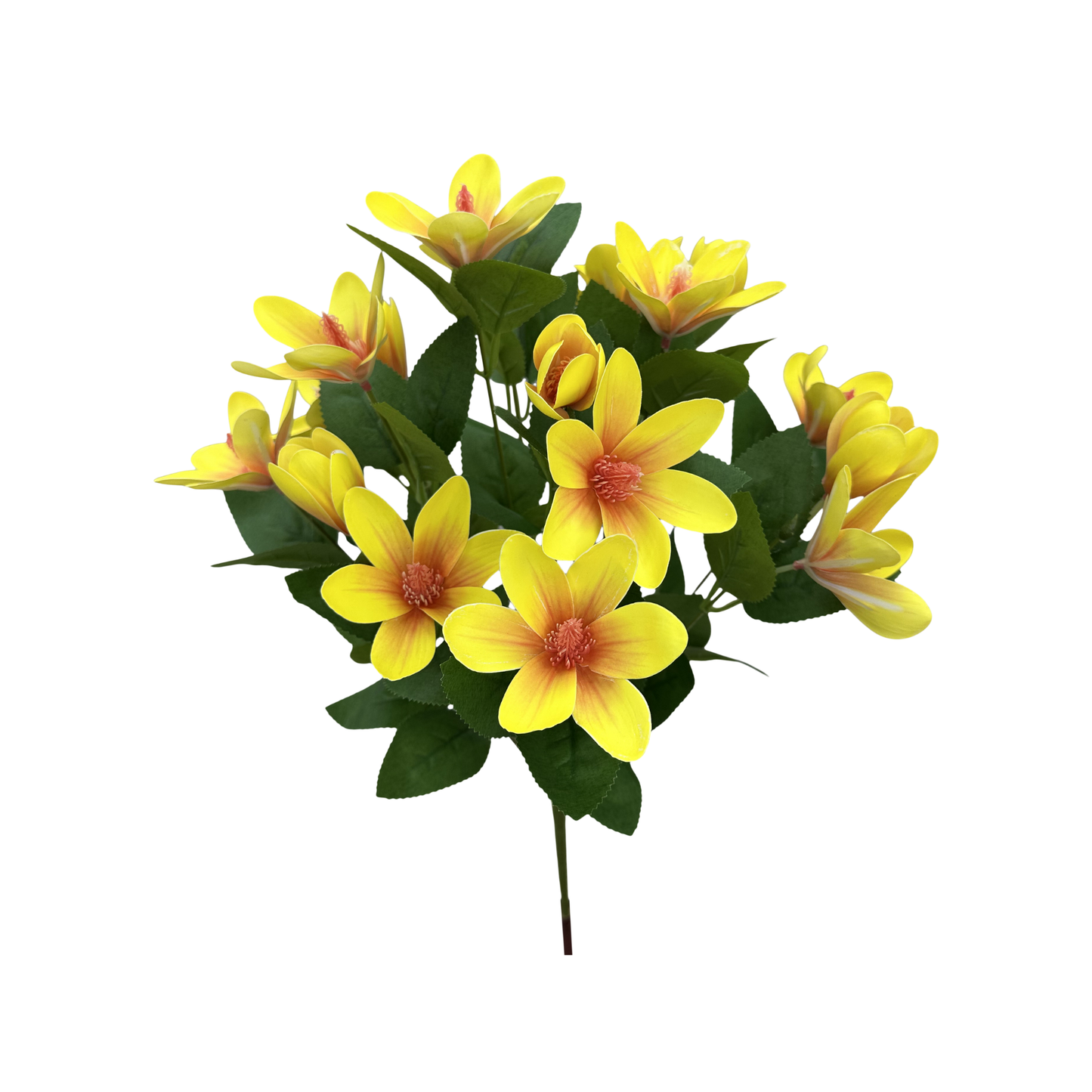 20" Japanese Magnolia Bush x7 | Yellow Magnolia Floral Bush-64010YW Liberty Floral