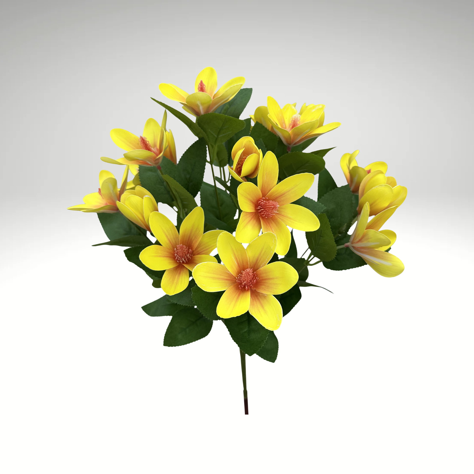 20" Japanese Magnolia Bush x7 | Yellow Magnolia Floral Bush-64010YW Liberty Floral