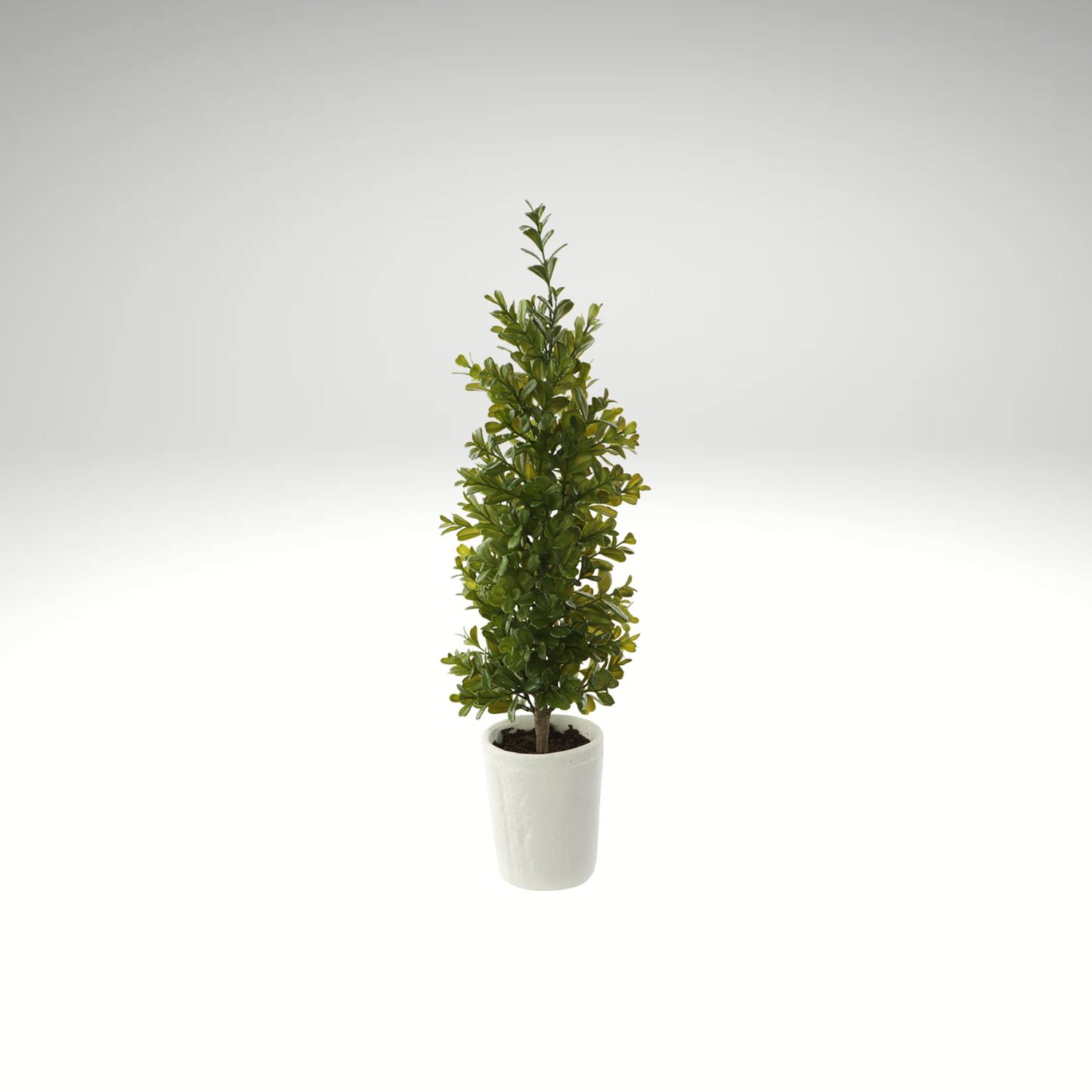 Boxwood Cone Topiary in Clay Pot-LPB811-GR