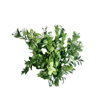 Load image into Gallery viewer, TCT Crafts Artificial 11.75&quot; Green/White Boxwood Bush with Flowers - UV &amp; Fire Retardant - Craft and Home Decor Supply - FL5248-GW