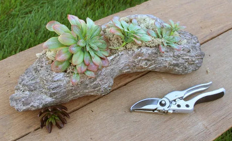 Driftwood Cement Planter 13 Inch Rustic Container-MX027631 Craig Bachman