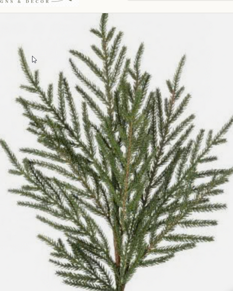 Winter Greenery Bundle -GB103 TCT Crafts Designs & Decor