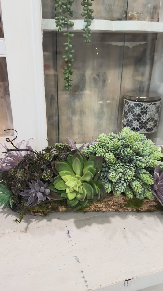 Artificial Purple & Green Succulent Arrangement in Faux Tree Fern Bark Container