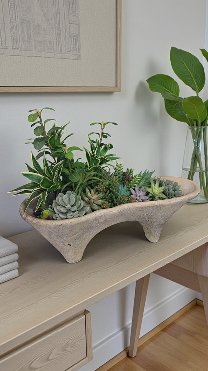Succulent Arrangement in Cement Planter | Neutral Modern Centerpiece