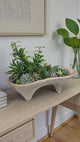 Succulent Arrangement in Cement Planter | Neutral Modern Centerpiece