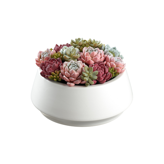 Succulent Garden in Ceramic Pot-LOS415-GR/PK