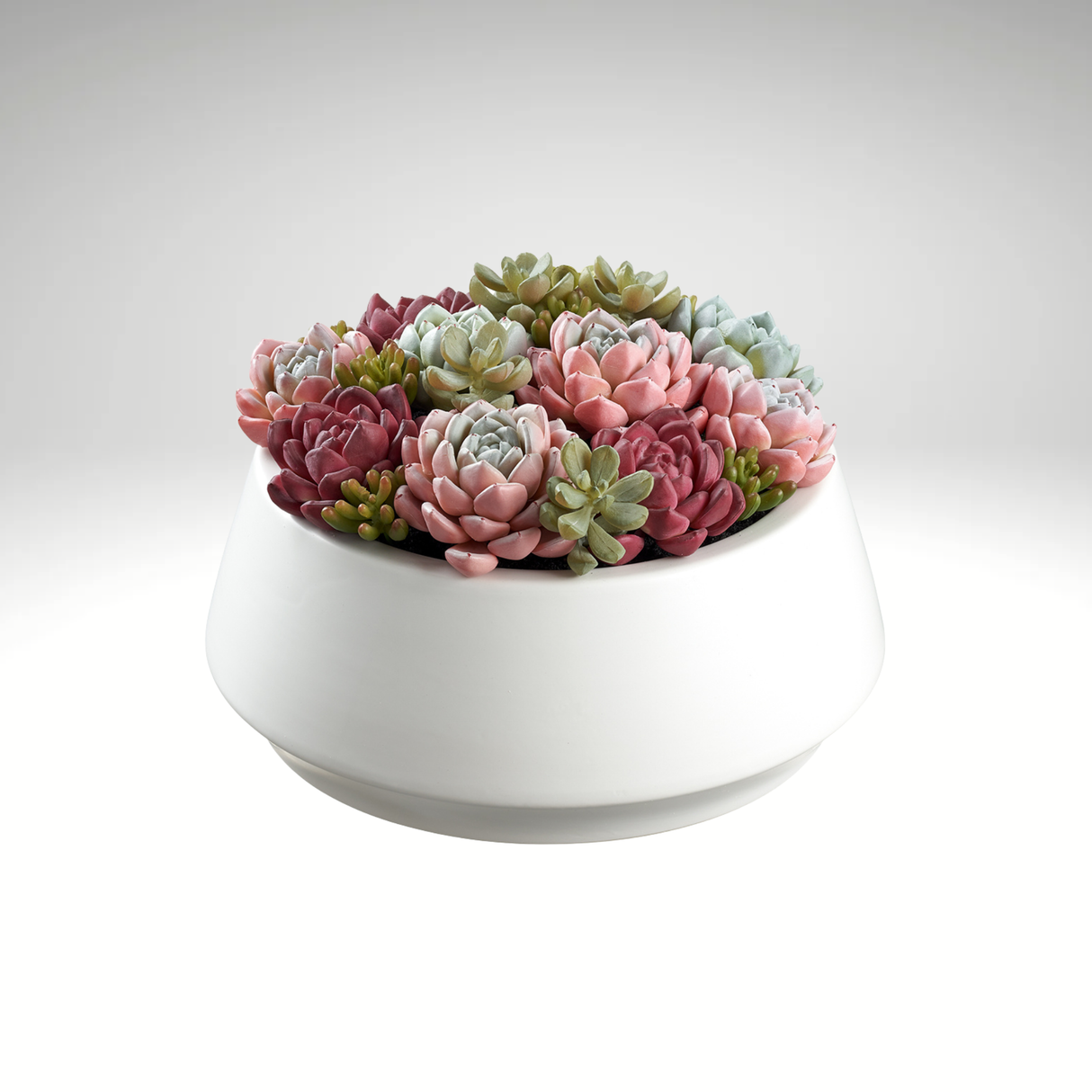 Succulent Garden in Ceramic Pot-LQS415-GR/PK