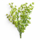 TCTCrafts artificial mini cup leaf bush in cream and green, made of plastic, perfect for wreaths and arrangements.