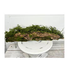 Load image into Gallery viewer, 18&quot; Small Tree Fern Bark Floral Arrangement Container - Dark Brown/Green (S1496/S)