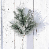Frosty Mixed Pine Spray 24 Inch Artificial Winter Greenery for Christmas Decor-VS001 Sims Pottery