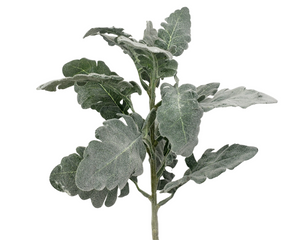 Lifelike Artificial Dusty Miller Spray - Add Natural Greenery to Your Decor (133650)