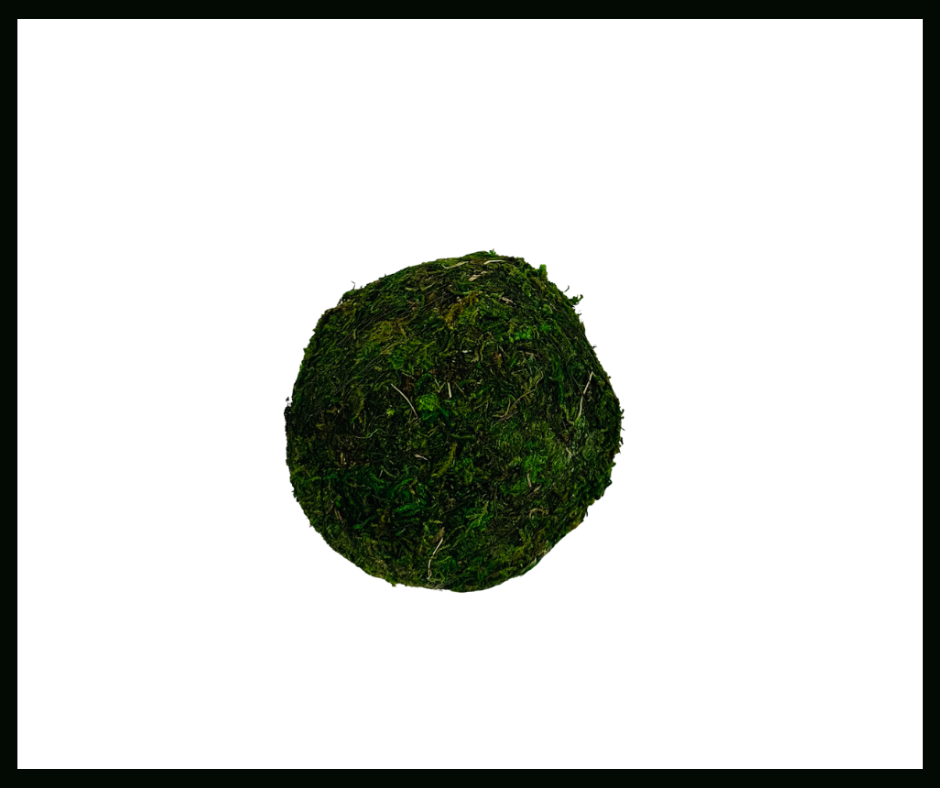 Natural Beauty: 4-Inch Moss Ball Decorative Bowl Filler TCT Crafts