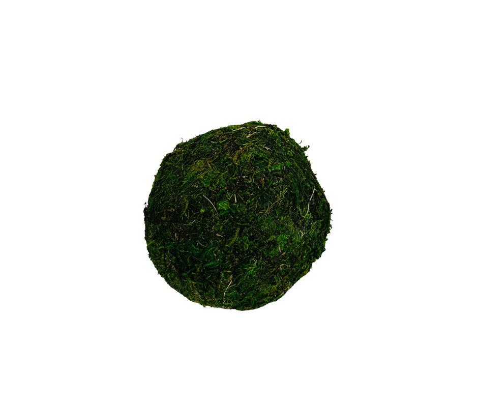Natural Beauty: 4-Inch Moss Ball Decorative Bowl Filler TCT Crafts