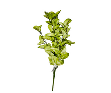 Load image into Gallery viewer, 19H&quot; Artistic Leaf Spray - Artificial Greenery in Choice of Vibrant Lime Green or Romantic Rose Pink-FG571931/FG571938