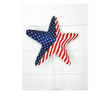 Patriotic Star Pick - Festive Decor for Patriotic Celebrations-74227RWB TCT Crafts