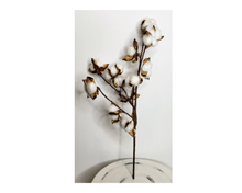Load image into Gallery viewer, Natural Elegance: 18.5-Inch Artificial Cotton Spray-FH7539