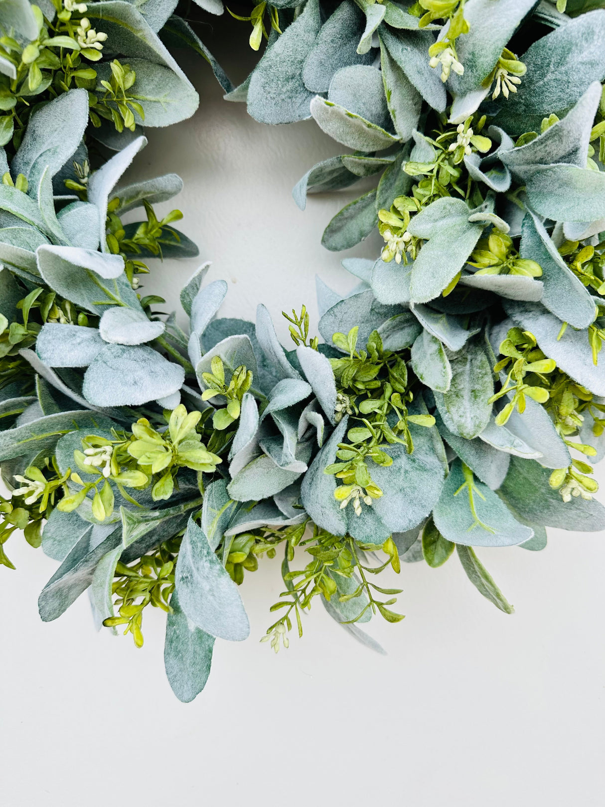 Everyday Lambs Ear Front Door Wreath-TCT1622 TCT Crafts