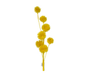 19H" Flocked Pom Pom Sprays - Playful Artificial Decor in Your Choice of Colors TCT Crafts