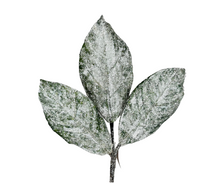 Load image into Gallery viewer, 135261-15&quot;L Winter Snow Magnolia Leaf Pick-Snow Green
