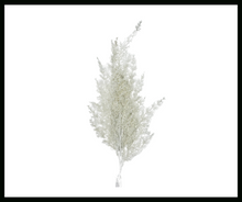 Load image into Gallery viewer, Sparkling Winter Elegance: 30.5&quot; White Glitter Cedar Spray-XX8430