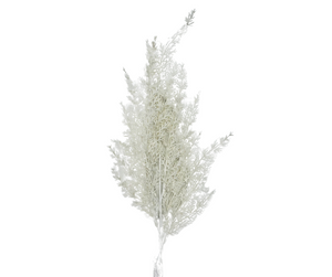 Sparkling Winter Elegance: 30.5" White Glitter Cedar Spray-XX8430